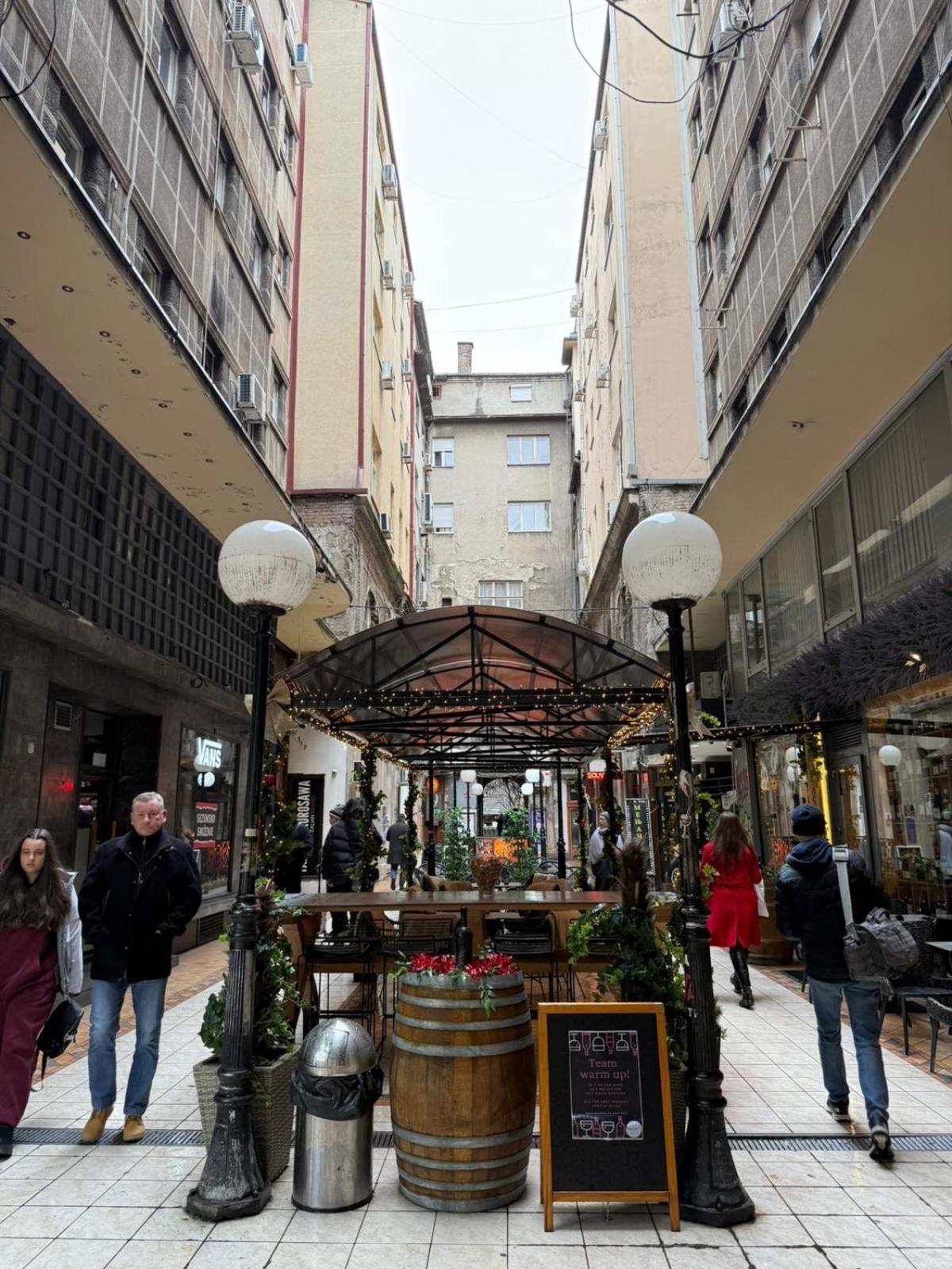 Knez Mihailova Apartment, City Center Belgrado Exterior foto